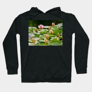 Pond with Water Lilies Hoodie